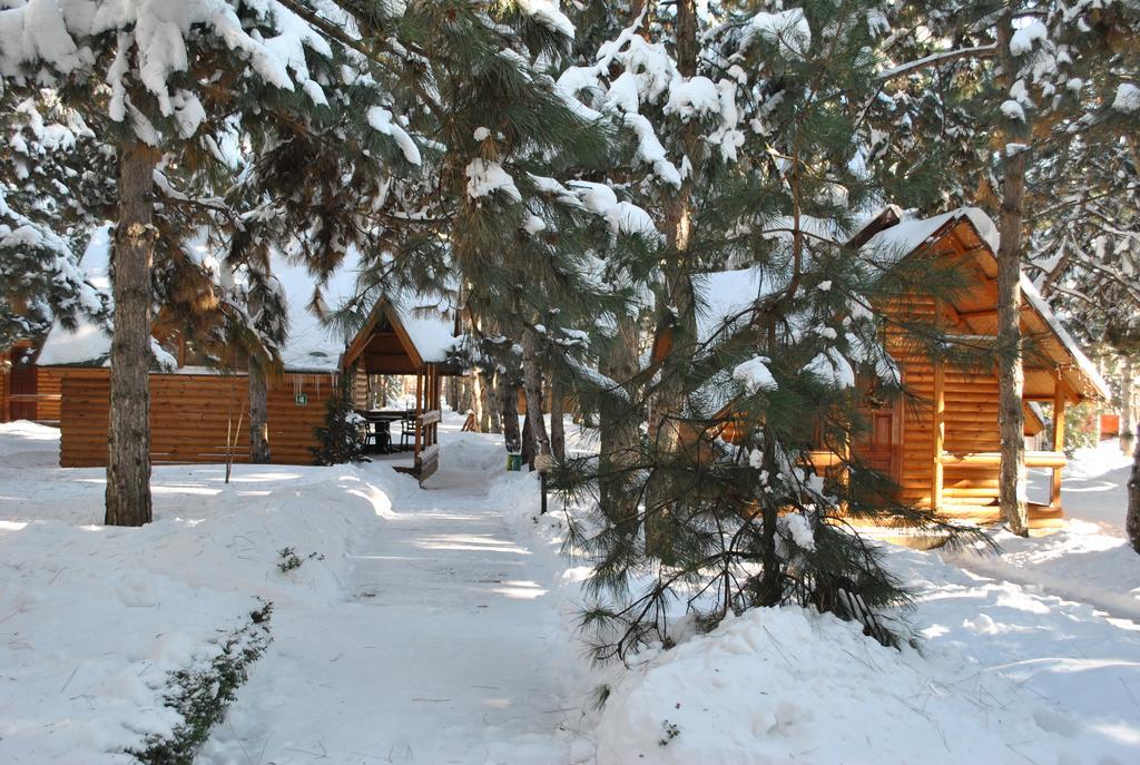 Kompleks Otdykha Elki-Palki Hotel Odessza Kültér fotó